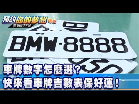 車牌 意思|車牌英文字母代表什麼？一篇整理車牌知識、特殊車牌。